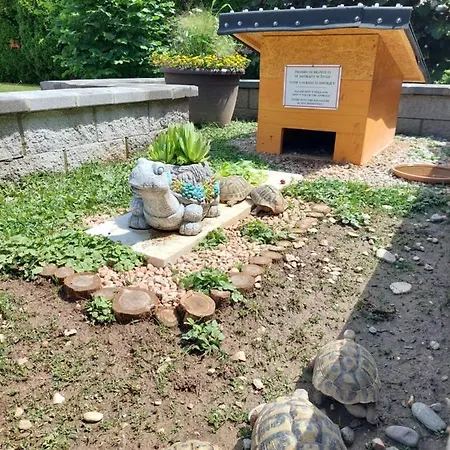 Apartma Zirovnik Daire