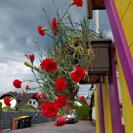 דירה Apartma Zirovnik