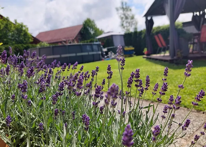 Appartamento Apartma Zirovnik *