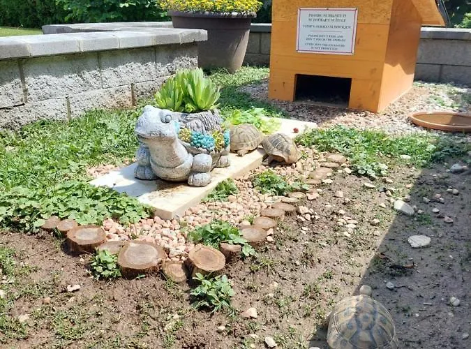 Apartma Zirovnik Appartamento