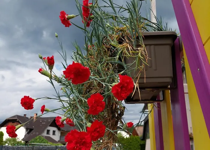 Apartamento Apartma Zirovnik